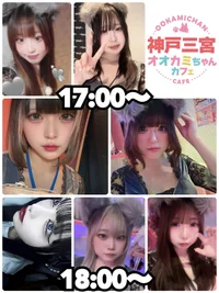 本日の出勤情報🐺