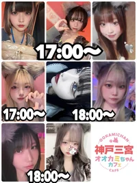 本日の出勤情報🐺