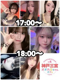 本日の出勤情報🐺