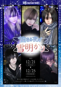 ✦‧✧̣̥̇‧聖なる夜の雪明かり‧✧̣̥̇‧✦‧