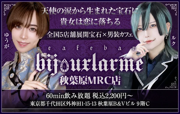 ビジュラム秋葉原MRC店