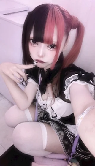 いぬさんさんの写真