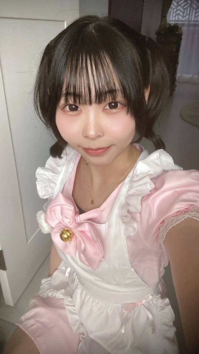 ちわわさんの画像3枚目