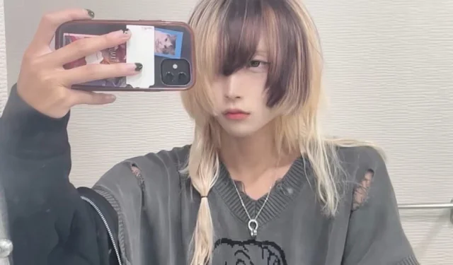 美沙