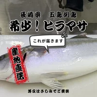 本日！長崎直送のヒラマサあります！