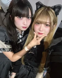 投稿：2025-11-11 14:08:37