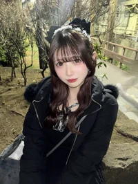 投稿：2026年2月12日 22:27