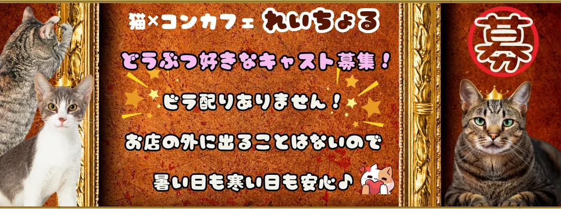 れいちょる✖️ネコ✖️コンカフェ