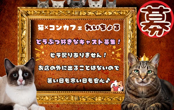 れいちょる✖️ネコ✖️コンカフェ