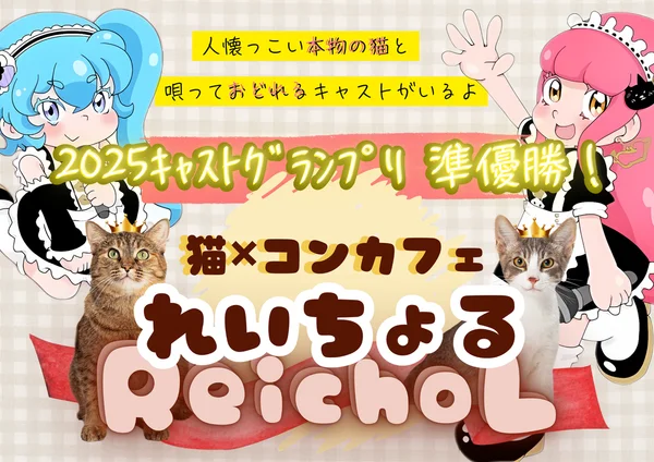 れいちょる✖️ネコ✖️コンカフェ