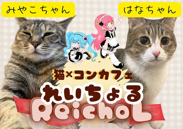 れいちょる✖️ネコ✖️コンカフェ