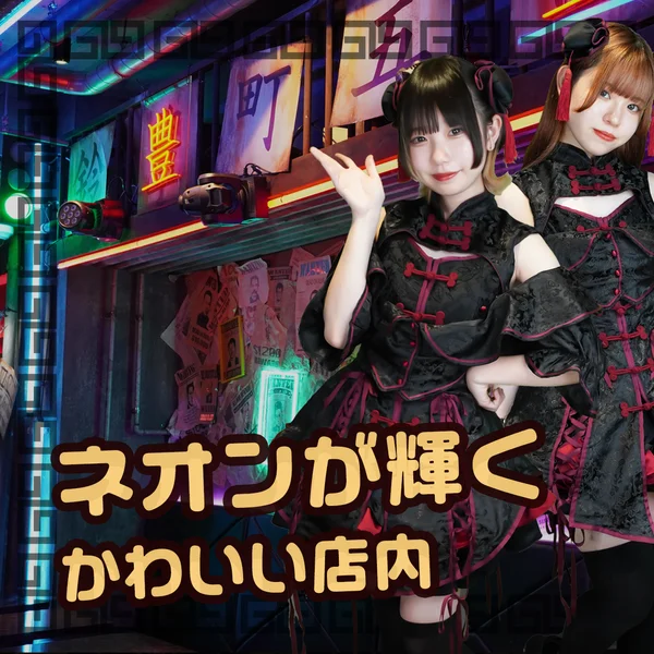 秋葉原コンカフェ・メイド喫茶『ベイビードラゴン』