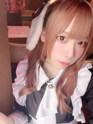 にとさんの写真