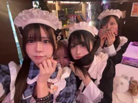 投稿：2025-10-12 17:01:44