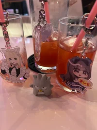 投稿：2025-10-25 14:37:58