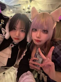 投稿：2025-11-09 14:35:06