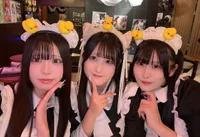 投稿：2026-02-03 16:44:23