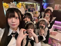 投稿：2026年2月13日 14:53