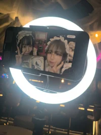 投稿：2026年2月13日 14:53