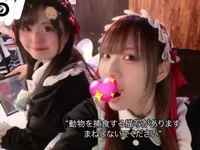 投稿：2026年3月24日 14:19