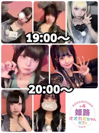 7/17(木)　本日出勤のオオカミちゃん🐺
