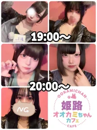 7/31(木)　本日出勤のオオカミちゃん🐺