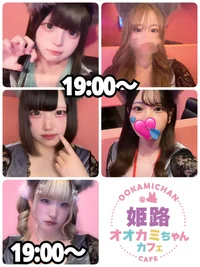 8/22(金)　本日出勤のオオカミちゃん🐺
