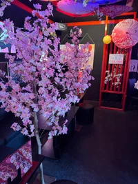 投稿：2025年5月26日 13:01