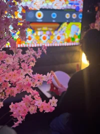 投稿：2025年5月26日 13:01