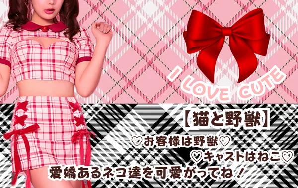 sweet ＆ cute