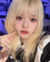 投稿：2026-06-08 13:29:07