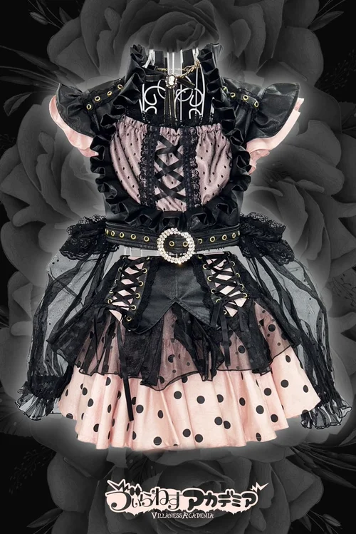 ゔぃらねすアカデミア