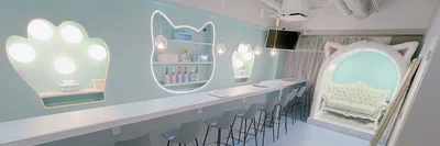 こだわりイメージ