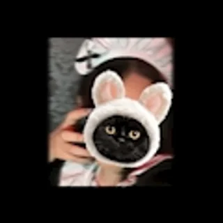 あさひさんの写真