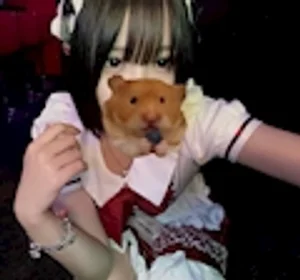 はに