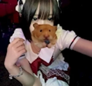 はにさんの写真