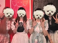 投稿：2025年6月9日 16:52