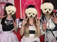 本日もご帰宅ありがとうございました🏠