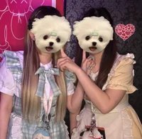 本日もご帰宅ありがとうございました🏠