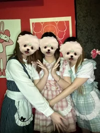 🐰ྀི06.03🐰ྀི