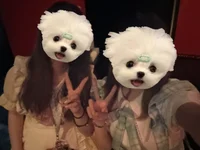本日もご帰宅ありがとうございました🎶