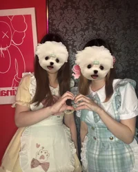 本日もご帰宅ありがとうございました🏠