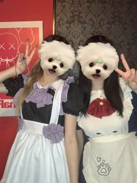 本日もご帰宅ありがとうございました！