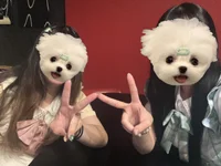 本日もご来店ありがとうございました🎶
