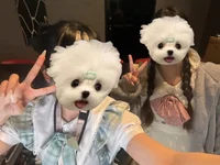 本日もご帰宅ありがとうございました🏠