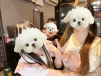 本日もご来店ありがとうございます⁠🧸𖤐⡱