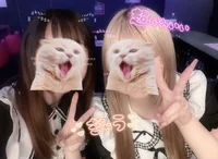 投稿：2025年5月17日 22:02