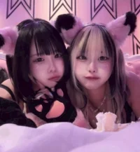 投稿：2025年11月4日 17:47