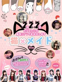 【2/22】ﾆｬﾝﾆｬﾝﾆｬﾝ猫耳イベント😻