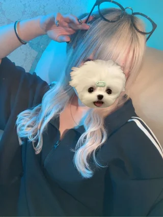 ゆき☆電撃転生!!